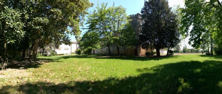 Libourne: Visit and Wine Tasting in the Heart of Libourne - Activity Details