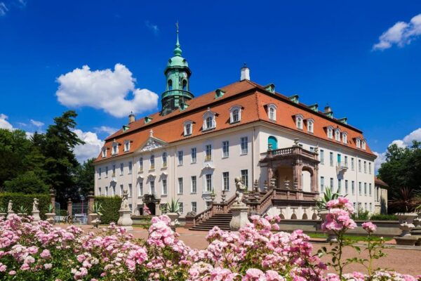 Lichtenwalde Castle: Guided Tour - Booking and Pricing