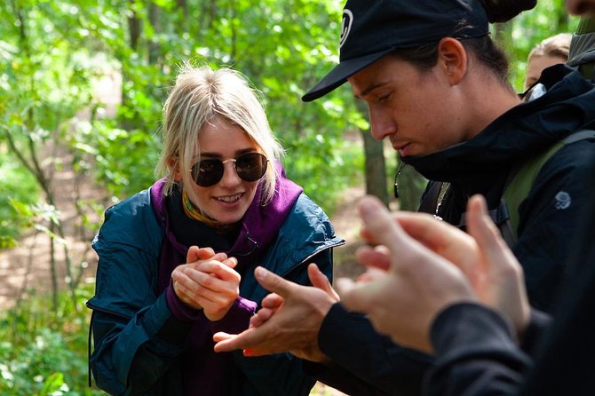 Liesjarvi National Park Taiga Forest Hiking Tour From Helsinki - Tour Overview and Details