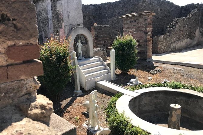 Life and Death of the Roman City of Pompeii With a Local Guide. Private Tour - Good To Know