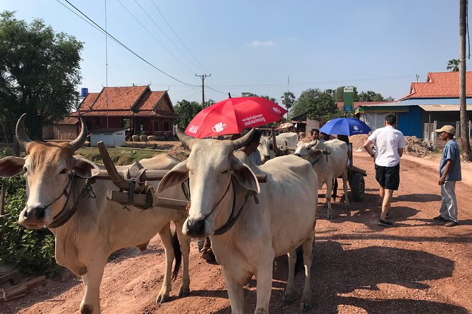 Lifestyle Tour With Homestay - 2 Days 1 Night - Culinary Delights