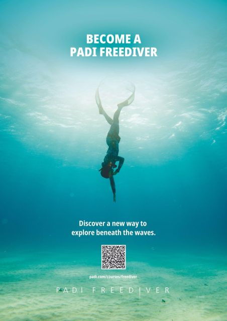 Ligaria Beach: Discover Free Diving (Apnea) - Why Choose This Tour?