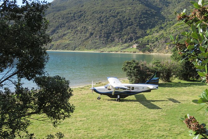 Light Aircraft Tour of the Marlborough Sounds From Picton - Overview and Highlights