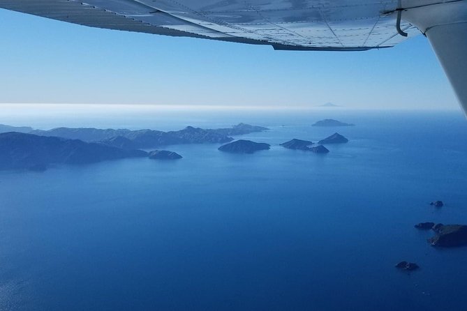 Light Aircraft Tour of the Marlborough Sounds From Picton - Traveler Photos and Reviews