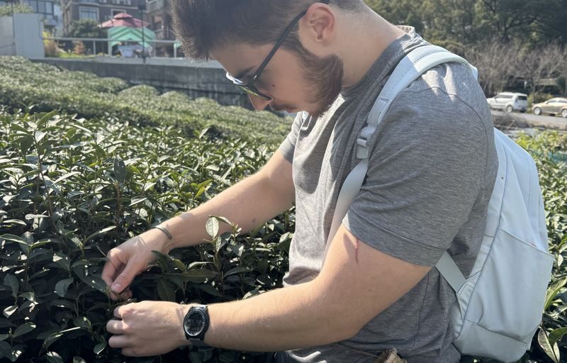 Light hiking and tea picking in the tea country, exploring the mysteries of the oxygen-rich reservoir. - Starting with tea in Longwu