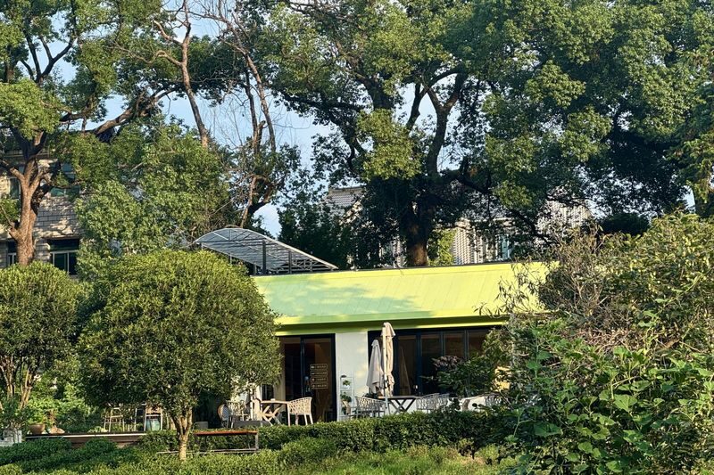Light hiking and tea picking in the tea country, exploring the mysteries of the oxygen-rich reservoir. - What the hosts add, and where the experience can wobble