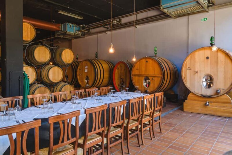 Light Lunch Tasting "Tosca" - Good To Know