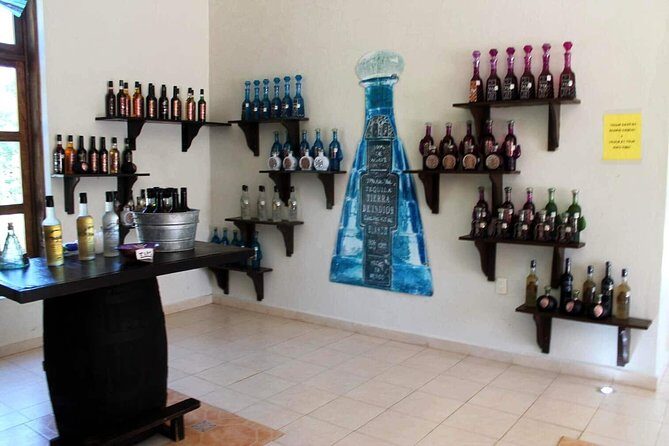 Light & Sound Show "Nights of Kukulkan" Tour from Riviera Maya - What’s Missing or Could Be Better?