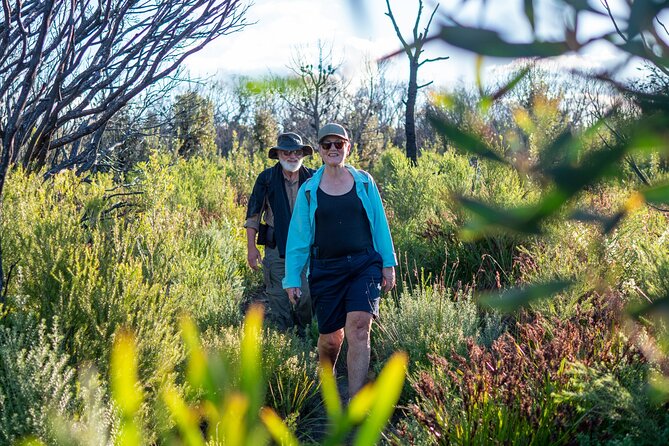 Light to Light Walking and Kayaking Tour, 2 Nights - Booking Information