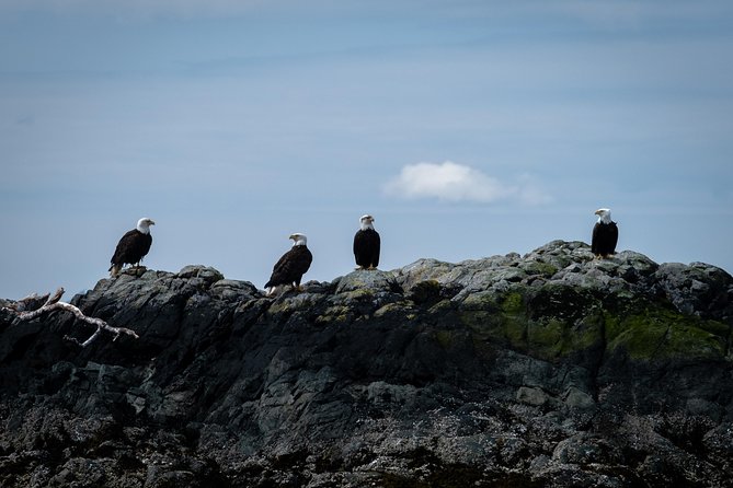 Lighthouse, Totems & Eagles Excursion - Lighthouse Exploration