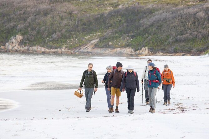 Lighting the Sound Uredale Twilight Hike - Good To Know