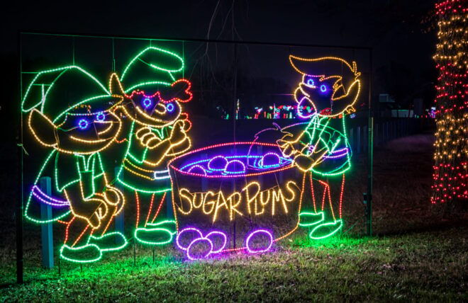 Lights of Joy Christmas Drive-Thru - Booking Information