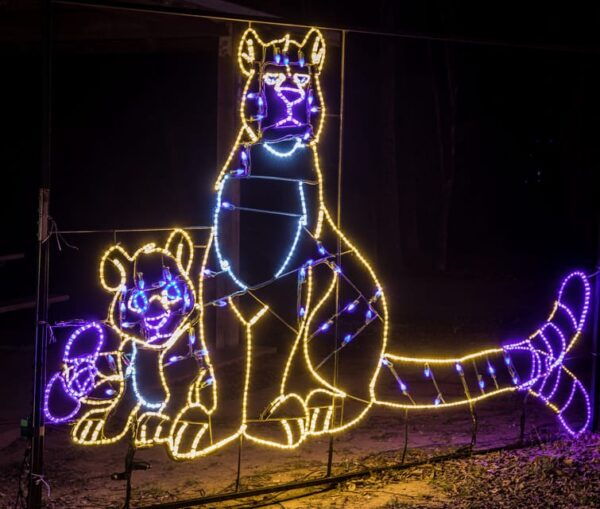 Lights of Joy Christmas Drive-Thru - Light Display and Activities