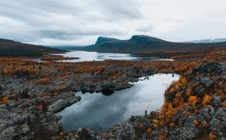Lightweighted walk through wild Arctic Nature - FAQ