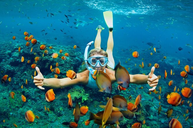 Lihaga Island (White Sand Island) Swimming Twice, Including Lunch and Tickets - Booking Information