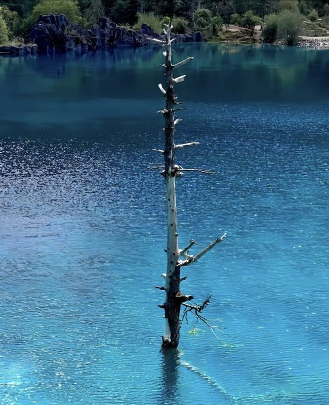 Lijiang Jade Dragon Snow Mountain & Blue Moon Valley Full-Day Tour with Ropeway Ride - Planning around altitude, weather, and cancellations