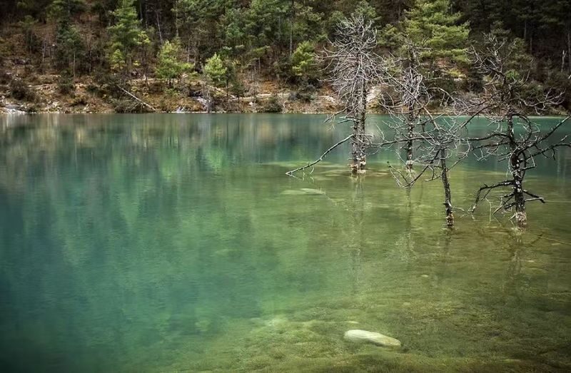Lijiang Jade Dragon Snow Mountain Day Tour (Exclusive for Foreign Guests, Translation Supported) - What the price covers, and where costs can grow
