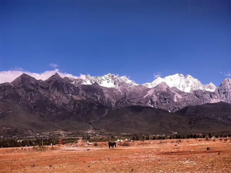 Lijiang Jade Dragon Snow Mountain Day Tour (Exclusive for Foreign Guests, Translation Supported) - Should you book this Jade Dragon Snow Mountain tour?