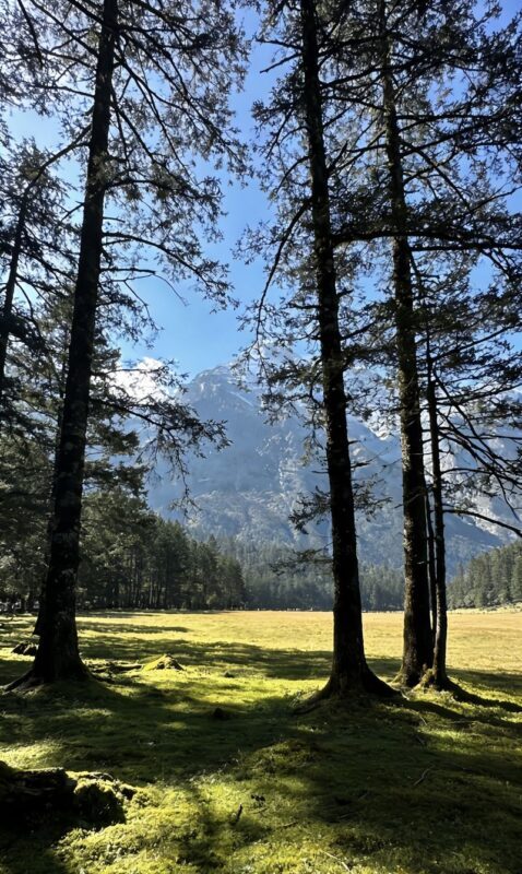 Lijiang Jade Dragon Snow Mountain Spruce Meadow & Blue Moon Valley Group Day Trip - English support: clarify before you go