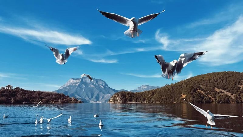 Lijiang Lugu Lake Mosuo Culture One-Day Tour - What the price covers, and what it does not