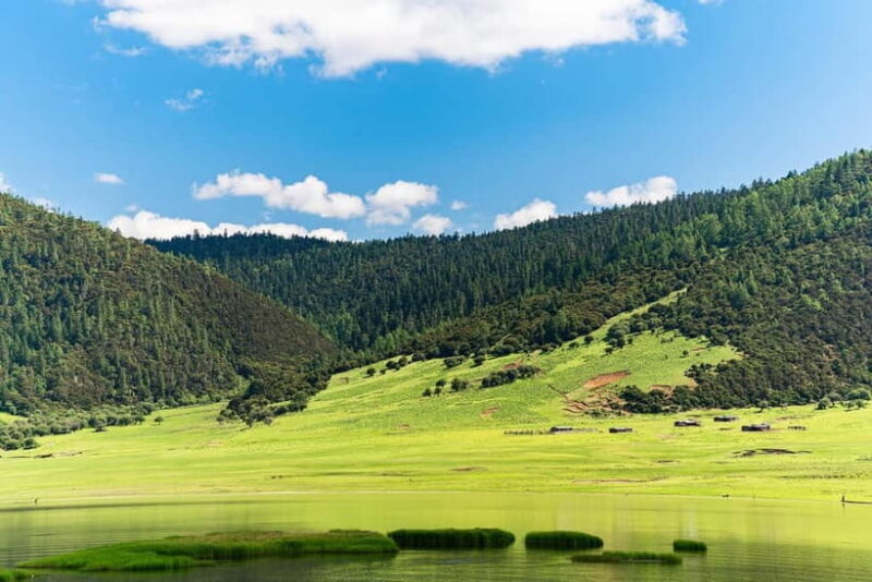 Lijiang: Pudacuo National Park and White Water Terrace Tour - A Deep Dive into the Experience