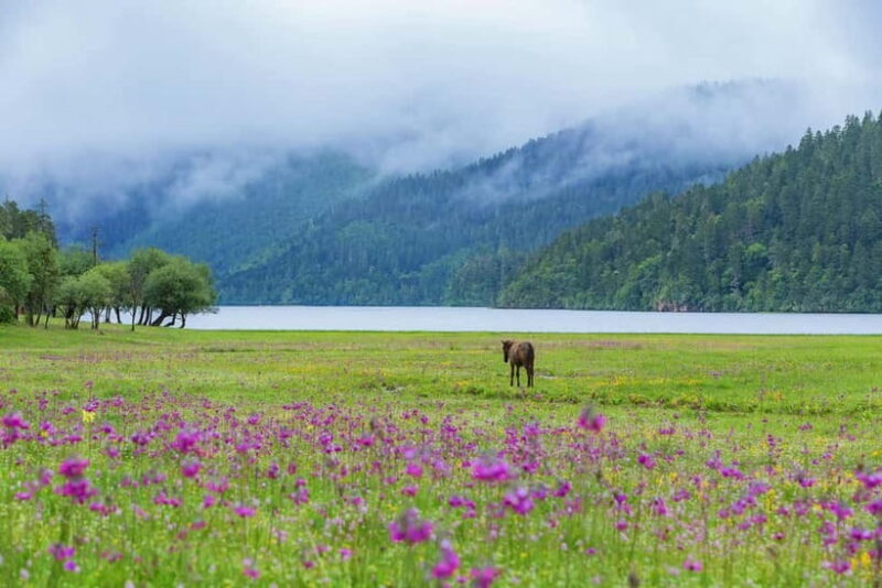 Lijiang: Pudacuo National Park and White Water Terrace Tour - Final Thoughts: Who Is This Tour Best For?