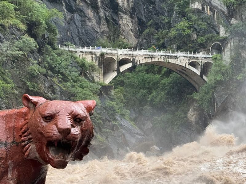 Lijiang Tiger Leaping Gorge & Baishui Platform Full-Day Private Tour - Booking and cancellation details to check