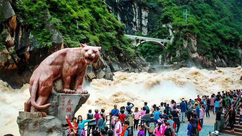 Lijiang to Shangri-La, Tiger Leaping Gorge, Napa Hai, Songzanlin Monastery Private Day Tour - The useful details at a glance