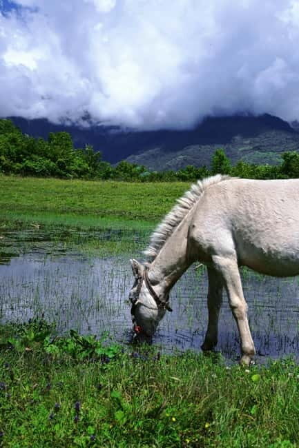 Lijiang: Yulong Snow Mountain, Blue Moon Valley & Show - The Experience’s Value