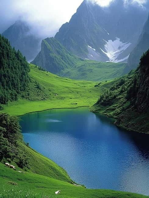 Lijiang: Yulong Snow Mountain, Blue Moon Valley & Show - Who Should Consider This Tour?