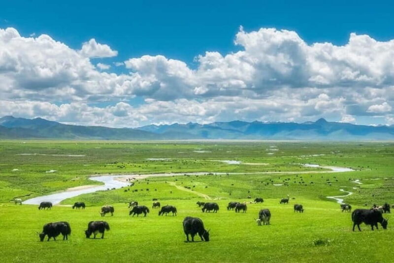 LijiangYulong Snow Mountain Yakniuping Cableway Day Tour - FAQ