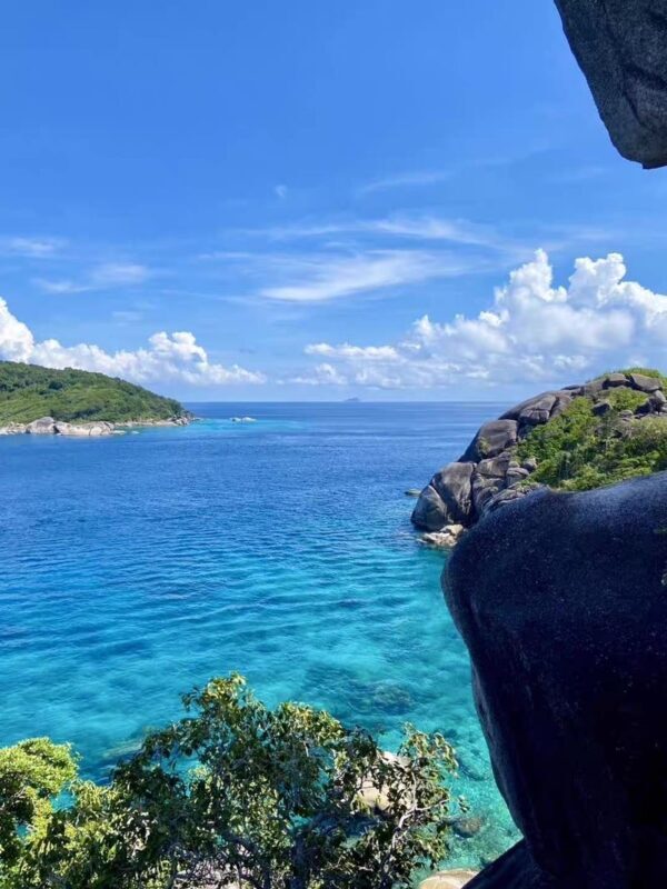 LILA Premium Catamaran Boat Tour Full Day Similan Late Departure - Who should choose this trip