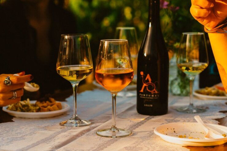 Lilliu Winery: Red Wine Tasting in the Vineyard - Experience Highlights at Lilliu Winery