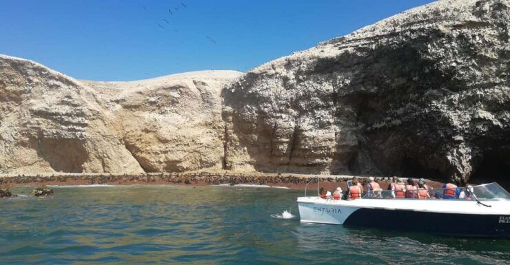 Lima: Ballestas Islands, Winery and Nazca Lines Private Tour - Tour Highlights