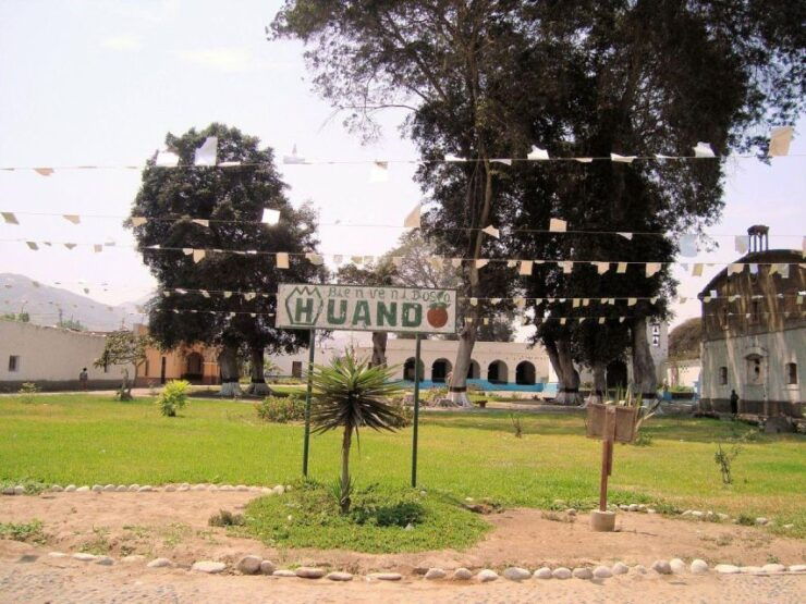 Lima: Huaral and Visit to the Castle of Chancay - Harvest Mandarin Oranges