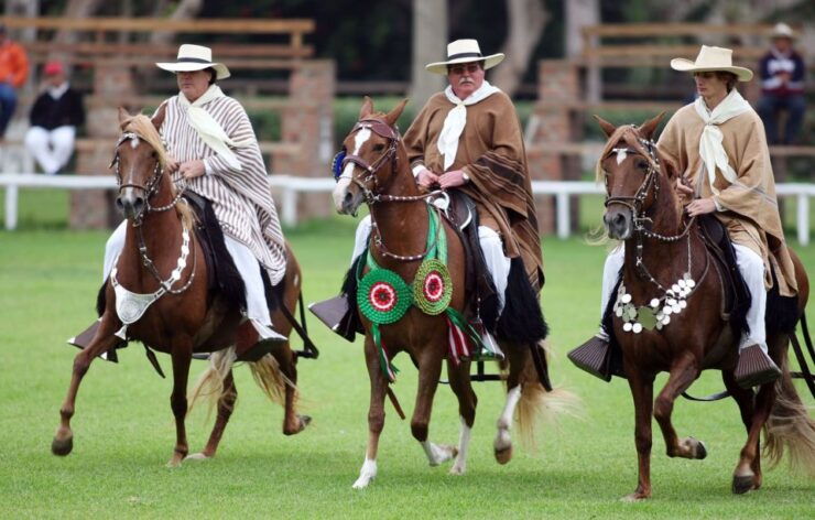 Lima: Magic Water Circuit With Dinner and Live Show - Experience Highlights