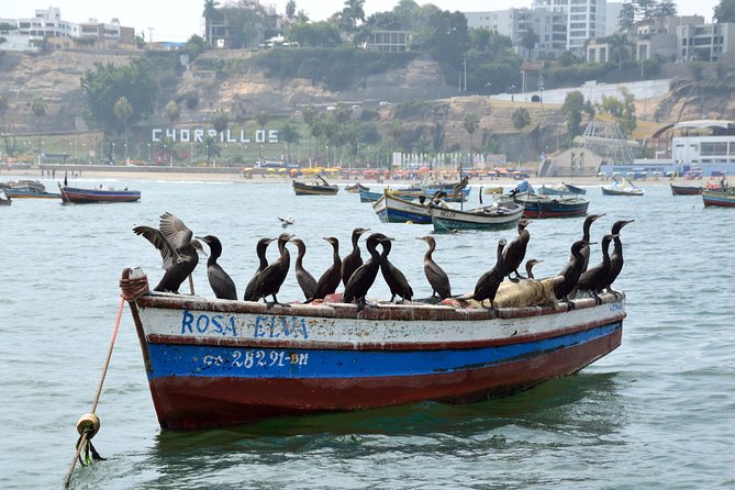 Lima Off the Beaten Path: Local Communities and Cultural Immersion - Common Questions