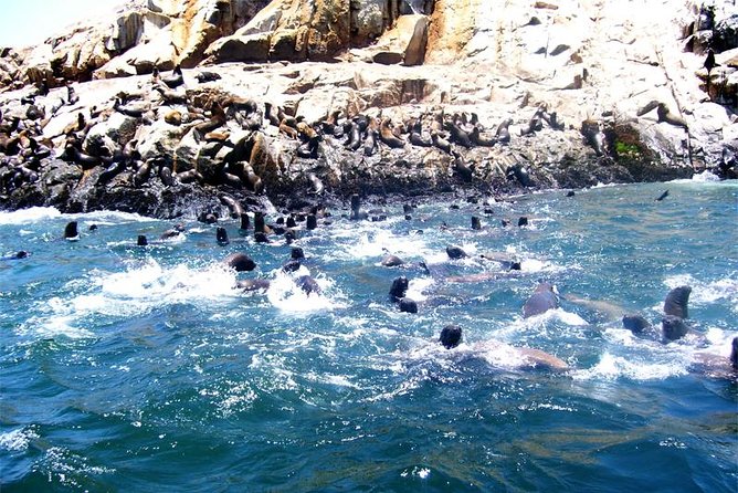 Lima: Palomino Islands Excursion & Swimming With Sea Lions With Hotel Transfers - Tour Details and Inclusions