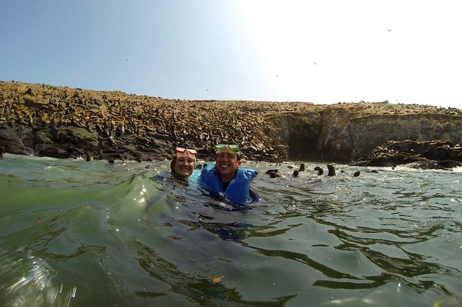 Lima: Palomino Islands Excursion & Swimming With Sea Lions With Hotel Transfers - Traveler Photos and Reviews