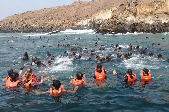 Lima: Palomino Islands Excursion & Swimming With Sea Lions With Hotel Transfers - Tour Highlights and Positive Experiences