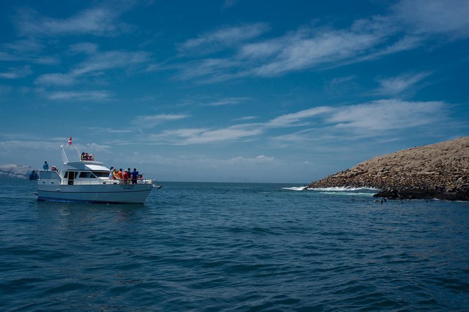 Lima: Palomino Islands, Swim With Sea Lions in the Pacific Ocean - Tour Duration and Inclusions