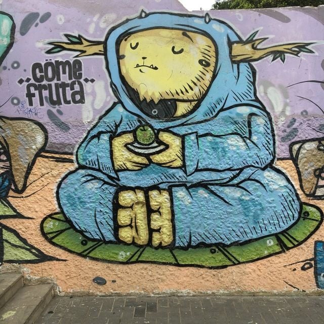 Lima Private Walking Tour - Tour Details