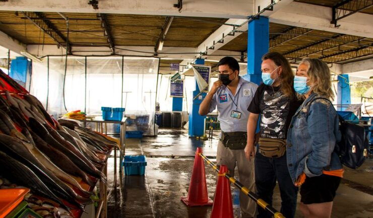 Lima: Street Food Tasting Tour With Pisco Sour Class - Tour Highlights