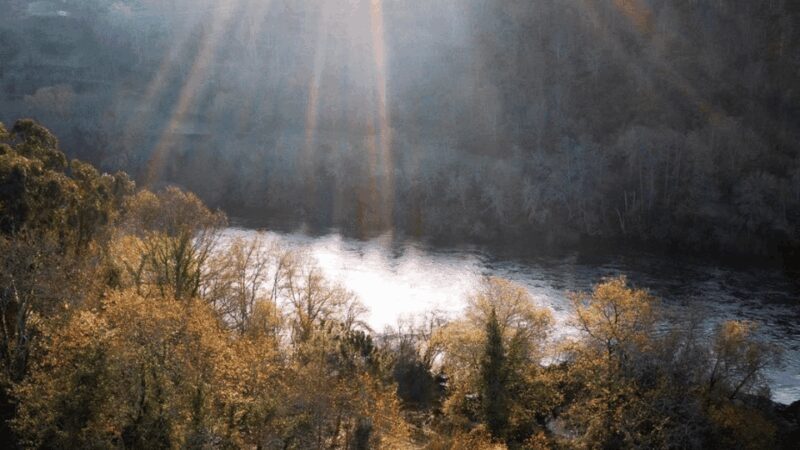 Lima Valley Tour with Wine Tasting and Local Gastronomy - Who Will Love This Experience?