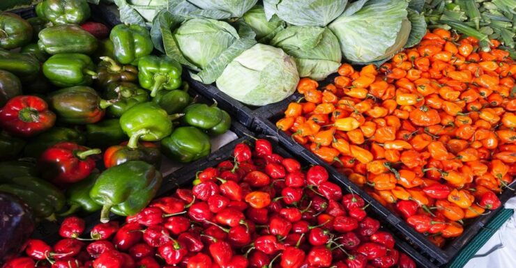 Lima's Food Tour Through Local Markets & Barranco Visit - Tour Overview