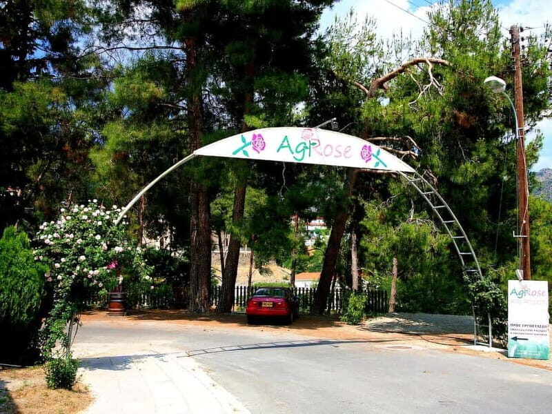 Limassol: Authentic Gourmet Tour with Wine and Food Tasting - Final Thoughts: Is This Tour Right for You?