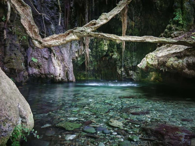 Limassol: Birthplace of Aphrodite & Blue Lagoon Boat Trip - Baths of Aphrodite: Serenity in the Botanical Garden