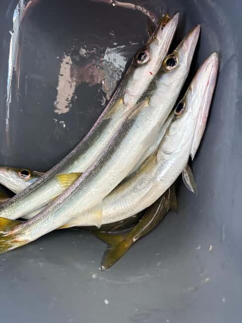 Limassol: Boat trip with swimming stop - An Authentic Limassol Sea Experience