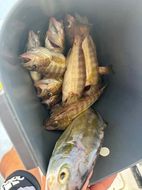 Limassol: Boat trip with swimming stop - Pricing and Value for Money