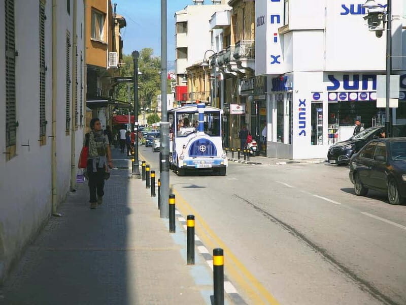 Limassol: Larnaca and Nicosia North Cyprus Private Tour - Who Is This Tour Best For?